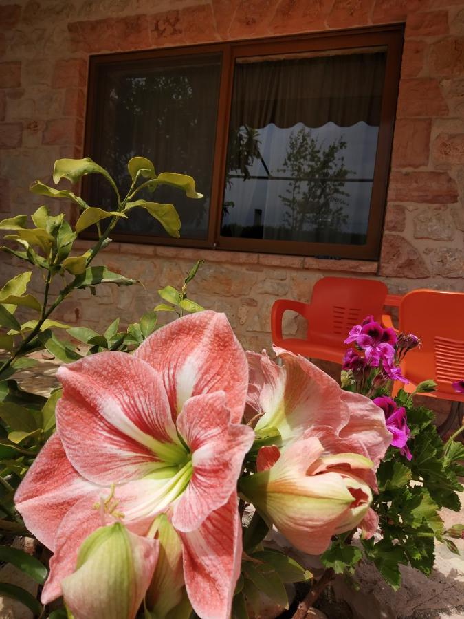 Altin Skrapari Guesthouse Ksamil Exterior photo