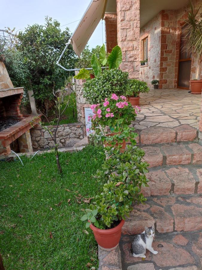 Altin Skrapari Guesthouse Ksamil Exterior photo